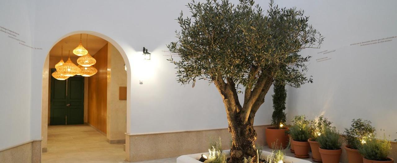 Casa De La Vega Suites Chiclana de la Frontera Zewnętrze zdjęcie