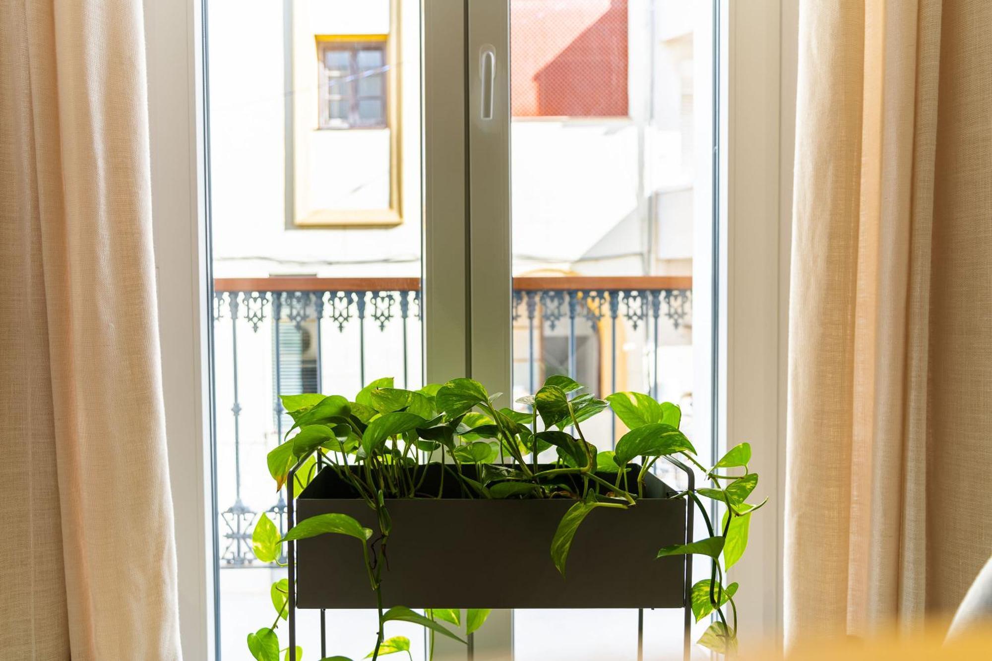 Casa De La Vega Suites Chiclana de la Frontera Zewnętrze zdjęcie